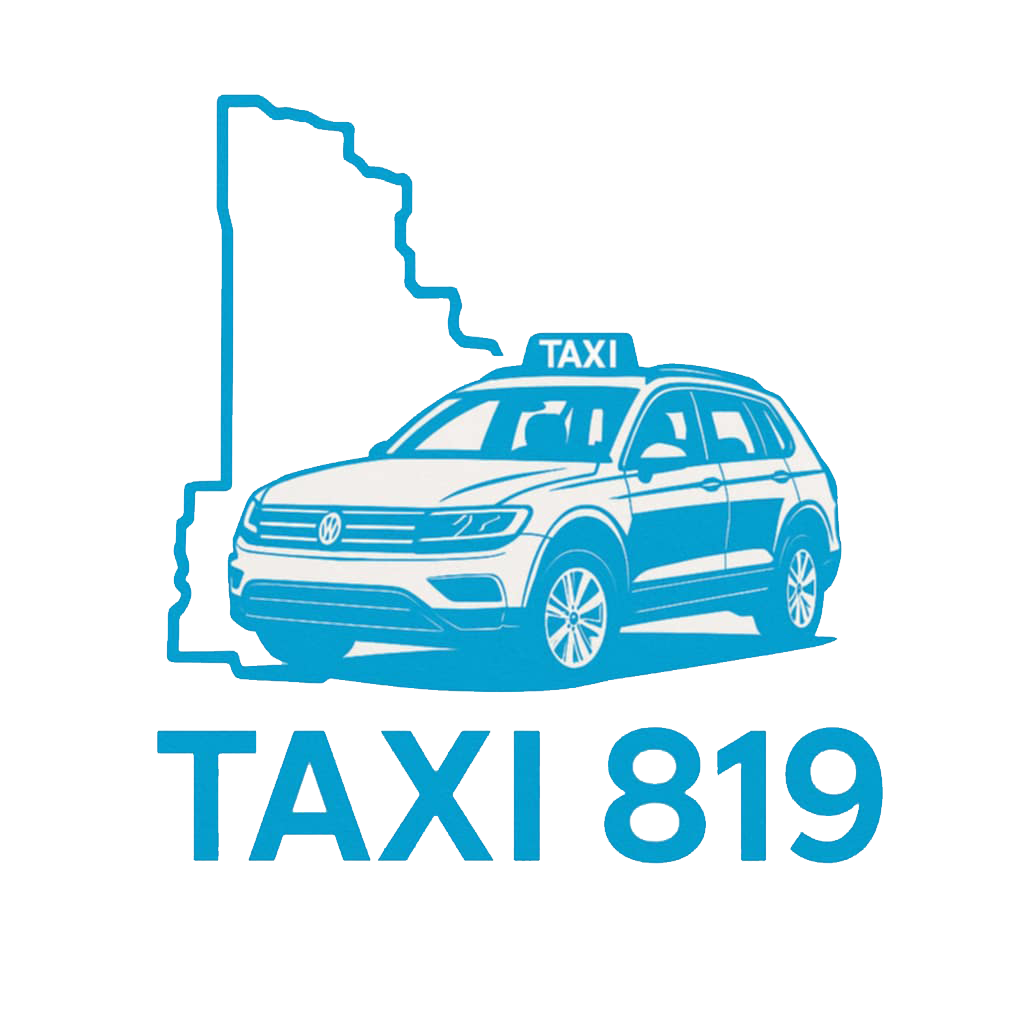 Logo Taxi 819